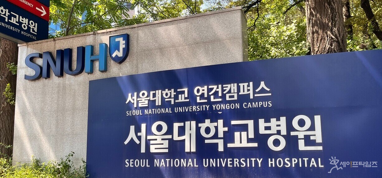 ▲ⓒ 세이프타임즈 민지 기자