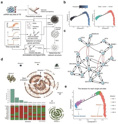 ▲ 대장암 임계 전이 상태에 대한 유전자 네트워크 컴퓨터 모델 구축. ⓒ KAIST