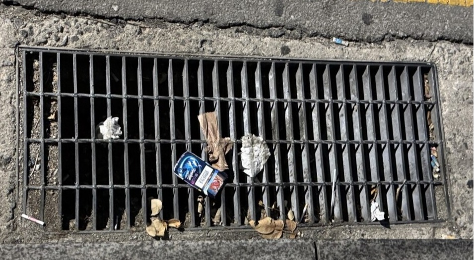 ▲ 시민들이 무심코 버린 쓰레기. ⓒ 손예림 기자 