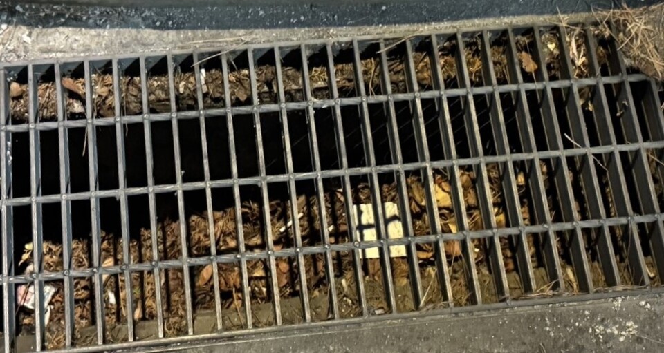 ▲ 멀리서 봤을 땐 깨끗해 보이지만 하수구 안에 낙엽과 쓰레기가 남아 있다. ⓒ 손예림 기자 