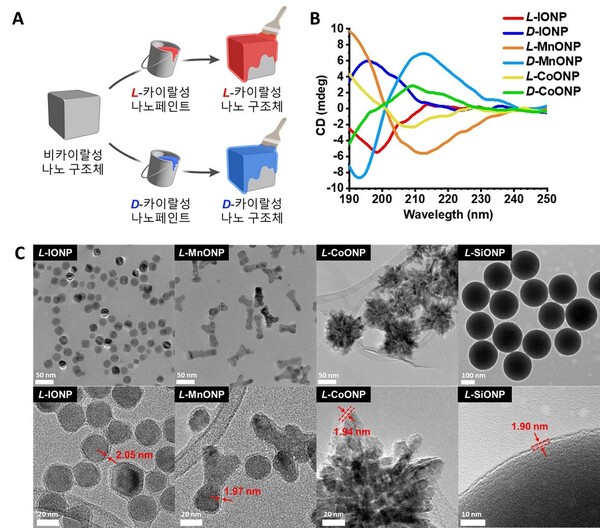 ▲ 카이랄 나노 페인트 기술을 통해 얻어진 카이랄 나노 소재의 원편광 이색성 분광 분석 결과. ⓒ KAIST