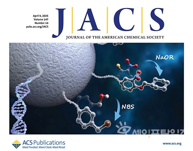 ▲ 포항공과대학 연구진의 연구가 미국화학회지 부표지에 선정됐다. ⓒ 포항공과대학