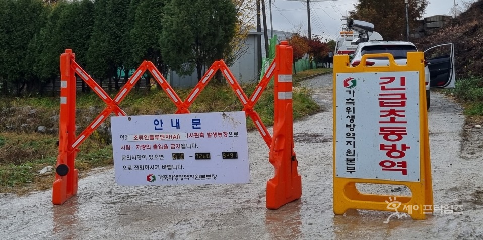 ▲ 고병원성 조류인플루엔자 중앙사고수습본부는 경기도 안성천 흰뺨검둥오리에서 H5형 조류인플루엔자(AI) 항원이 검출돼 정밀검사를 하고 있다. ⓒ 세이프타임즈