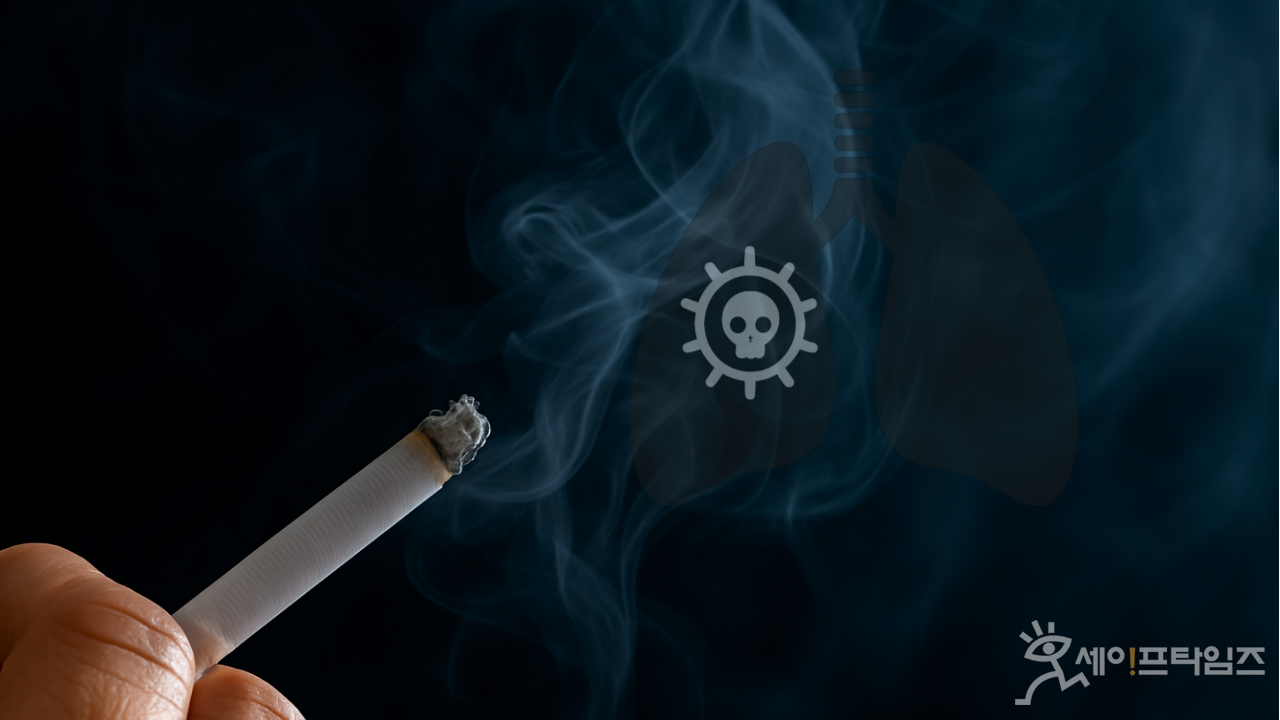 ▲ 대한결핵및호흡기학회와 한국의학바이오기자협회의 설문조사에 따르면 성인 1209명 가운데 1100명은 흡연이 폐암을 유발한다고 생각한다. ⓒ 세이프타임즈