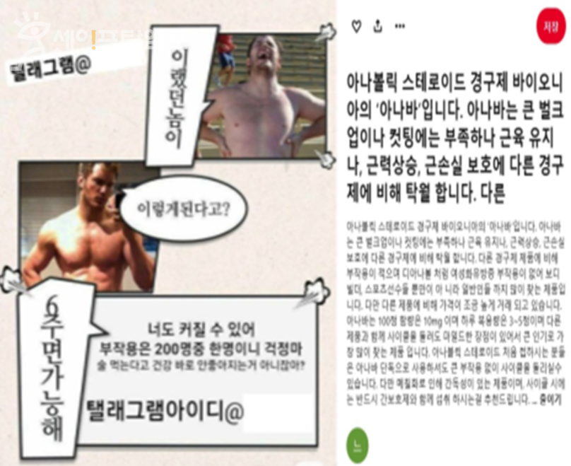 ▲ 일명 몸짱 의약품인 단백동화스테로이드 등을 온라인에서 불법유통해 적발된 게시물 사례. ⓒ 식약처