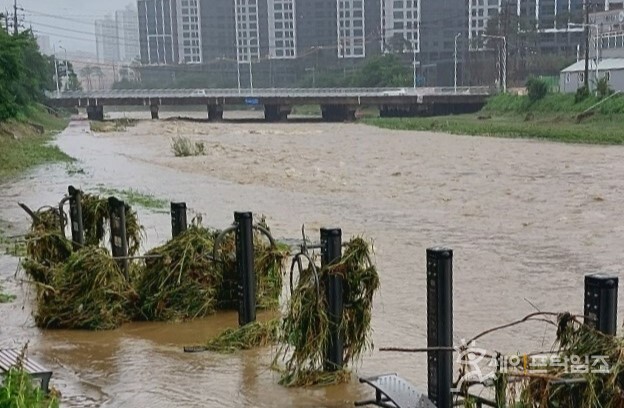 ▲ 대전중구 옥계동 옥계교 장마로 주민들이 이용하던 천변산책로가 피해를 입었다. ⓒ 오선이 기자