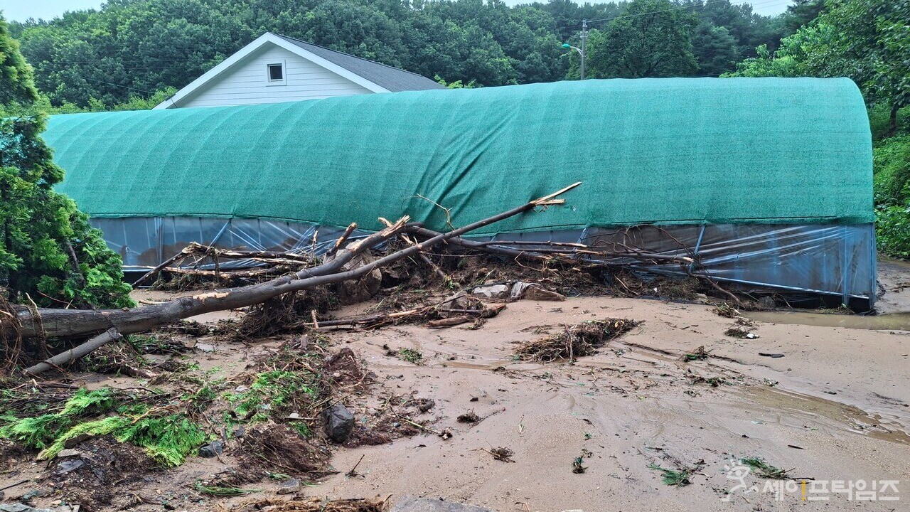 ▲ 17일 충남 당진의 한 사유지가 호우 피해를 입었다. ⓒ 세이프타임즈