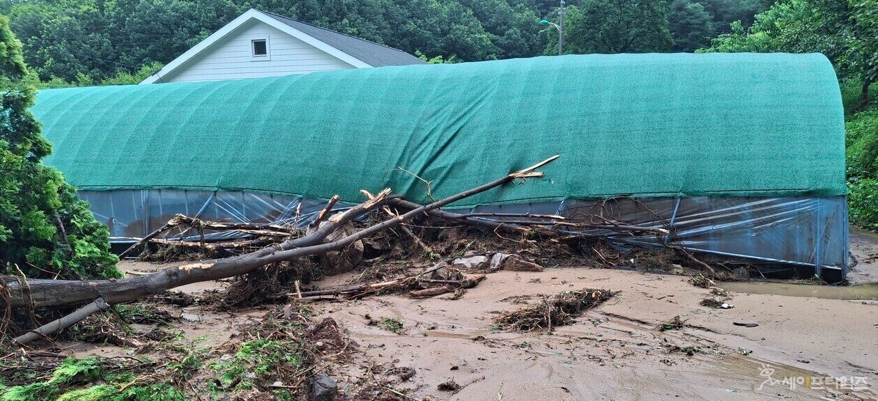 ▲ 17일 충남 당진의 한 사유지가 호우 피해를 입었다. ⓒ 세이프타임즈