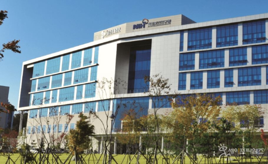 ▲ 국립보건연구원은 항생제 내성균 치료법의 과학적 근거 마련을 위한 대규모 국제 임상시험(RAPID)을 국내에서 시작한다. ⓒ 보건연구원