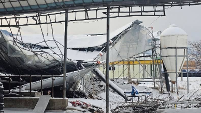 ▲ 겨울철 폭설로 노후화된 축사가 무너졌다. ⓒ 농식품부