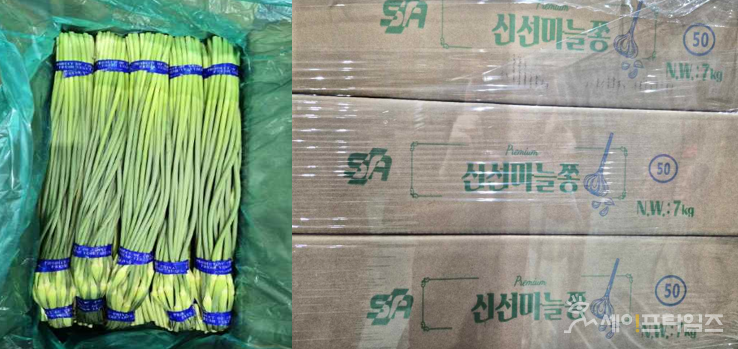 ▲ 에스에이무역이 중국산 신선마늘쫑을 식품의약품안전처의 수입검사 전에 무단 유통·판매해 회수 조치에 들어갔다. ⓒ 식약처