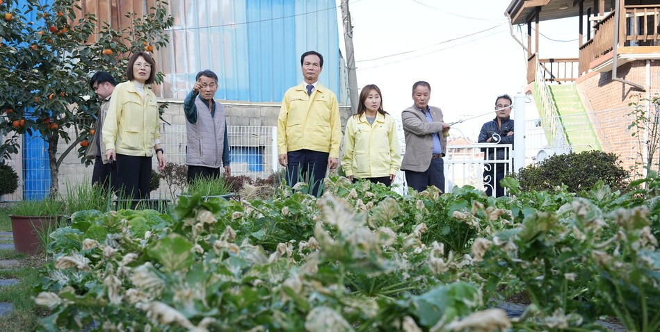 ▲ 조병옥 음성군수(가운데)가 29일 화학물질 유출로 인해 피해를 본 농작물 등을 점검하고 있다. ⓒ 음성군