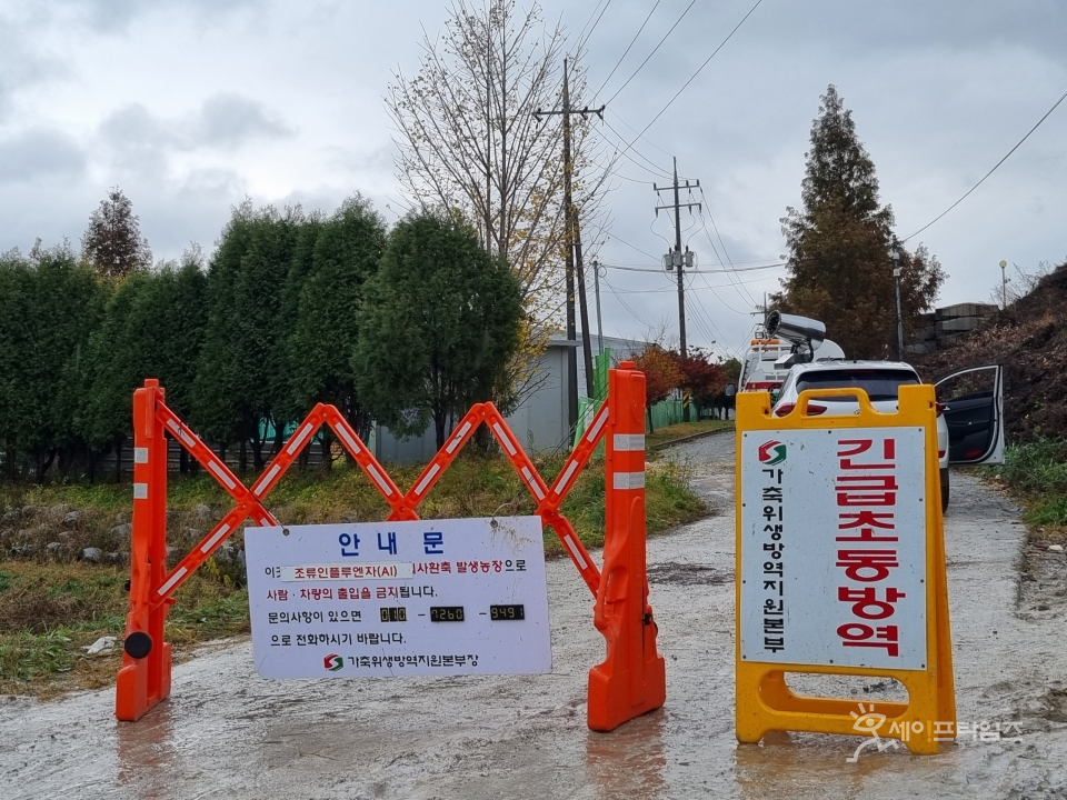 ▲ 고병원성 조류인플루엔자 중앙사고수습본부는 충북 영동군 종오리 농장에서 H5형 조류인플루엔자(AI) 항원이 검출돼 정밀검사를 하고 있다. ⓒ 세이프타임즈