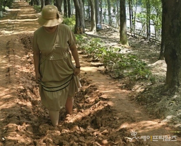  ▲ 시민이 서구 한밭수목원에서 맨발 걷기를 하고 있다. ⓒ 오선이 기자